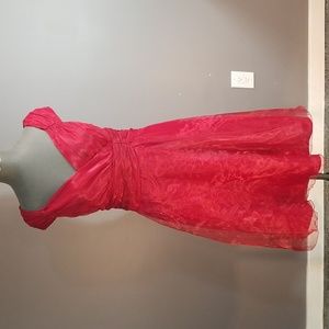Organza Shimmering red dress approximate size 6